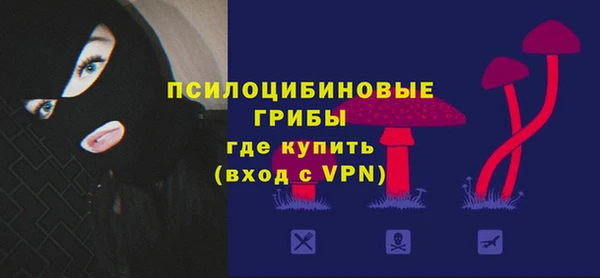 спиды Горнозаводск