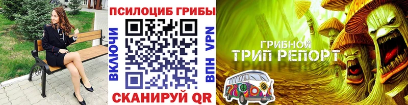 Псилоцибиновые грибы мухоморы  магазин    Чехов 